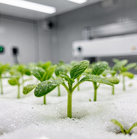 스마트팜 이미지 1