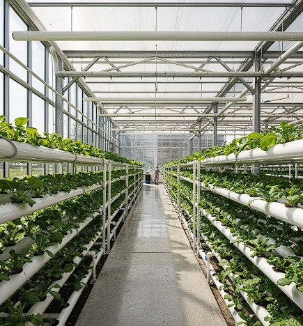 스마트팜 이미지 2